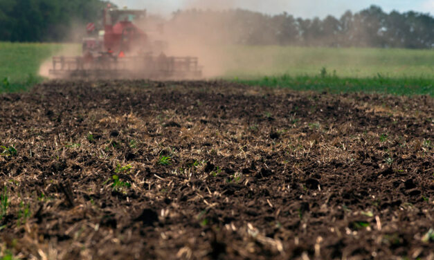 Los biofertilizantes en agricultura