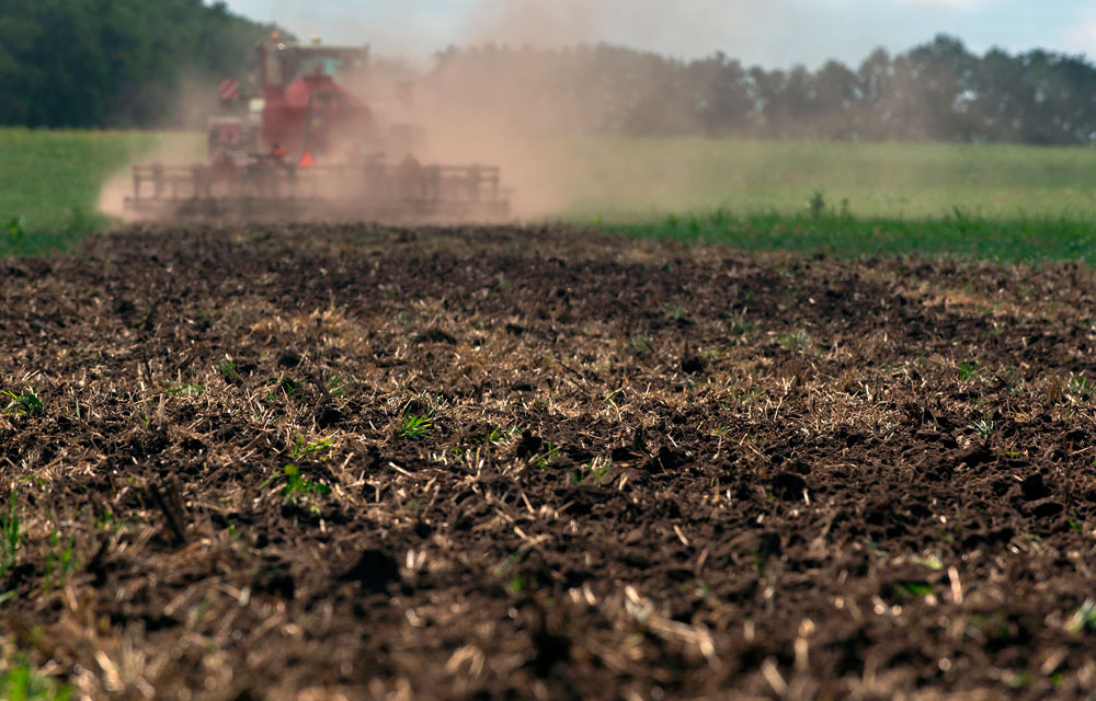 Los biofertilizantes en agricultura