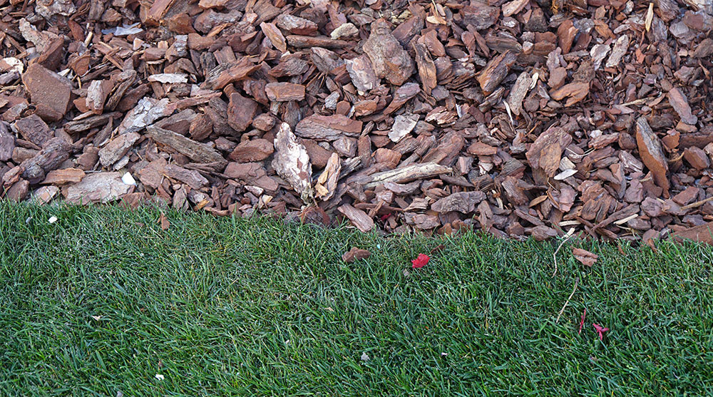 Acolchado en jardinería