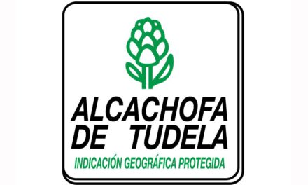 Alcachofa de Tudela