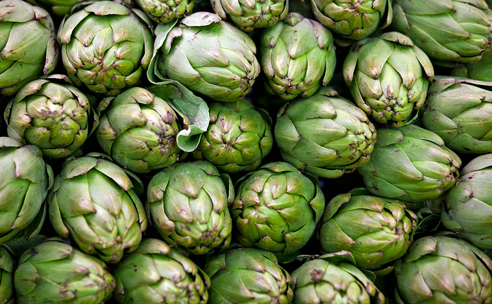 Variedad de alcachofa verde Blanca de Tudela