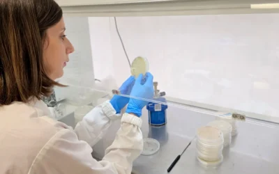 Las claves de los bioestimulantes microbianos en la agronutrición