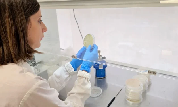 Las claves de los bioestimulantes microbianos en la agronutrición