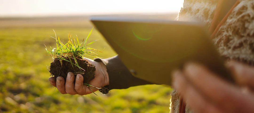 Análisis de cultivos en el campo