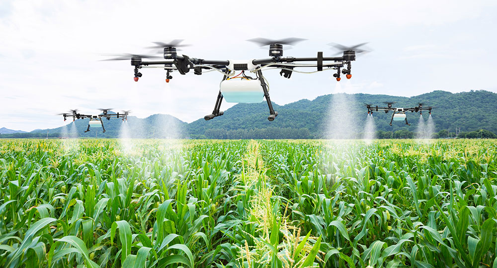 Aplicación de fertilizantes con dron