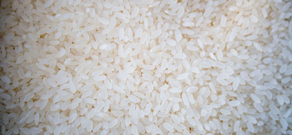 Arroz blanco