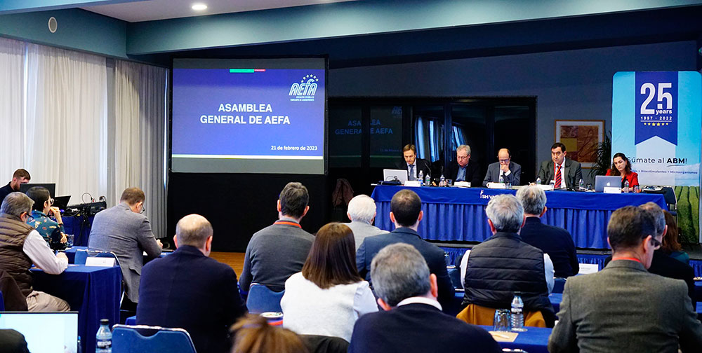 Asamblea AEFA 2023