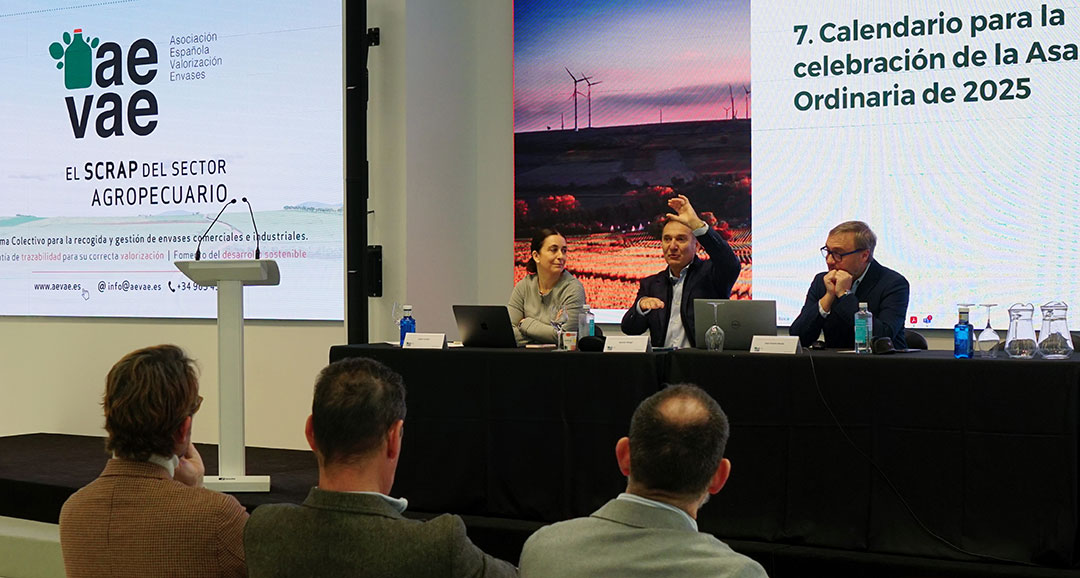 La Asamblea General de AEVAE 2024