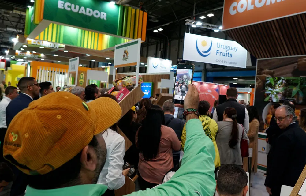 Fruit Attraction 2026: Novedades y previsiones del sector hortofrutícola
