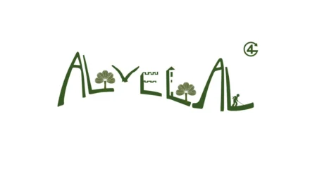 Asociación AlVelAl