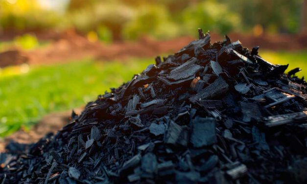 El biochar en agricultura