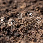 Qué son los bioinsumos agrícolas