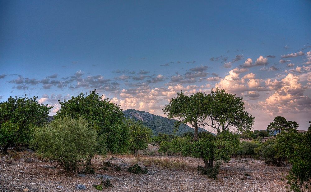 Caimari Mallorca