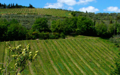 Agricultura regenerativa