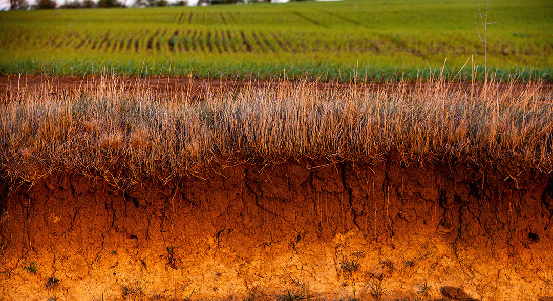 Capas de suelo en el campo