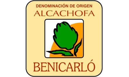 Alcachofa de Benicarló / Carxofa de Benicarló