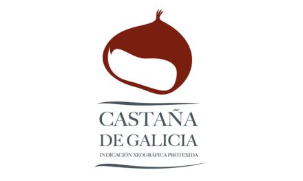 Castaña de Galicia