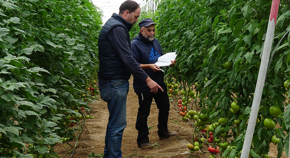 Centro de investigación de semillas hortícolas híbridas