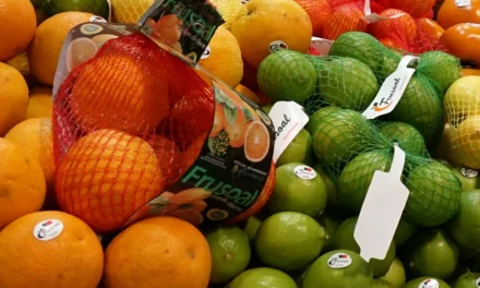Claves en poscosecha hortofrutícola