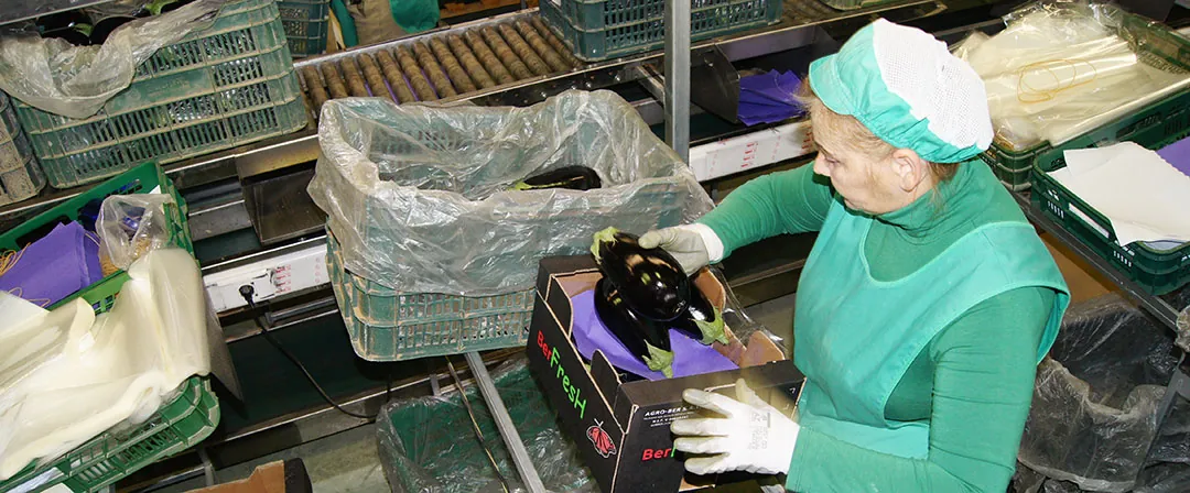 Clasificación de frutos en poscosecha