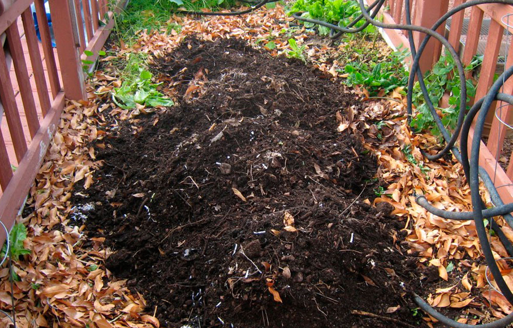 Compost orgánico para el huerto