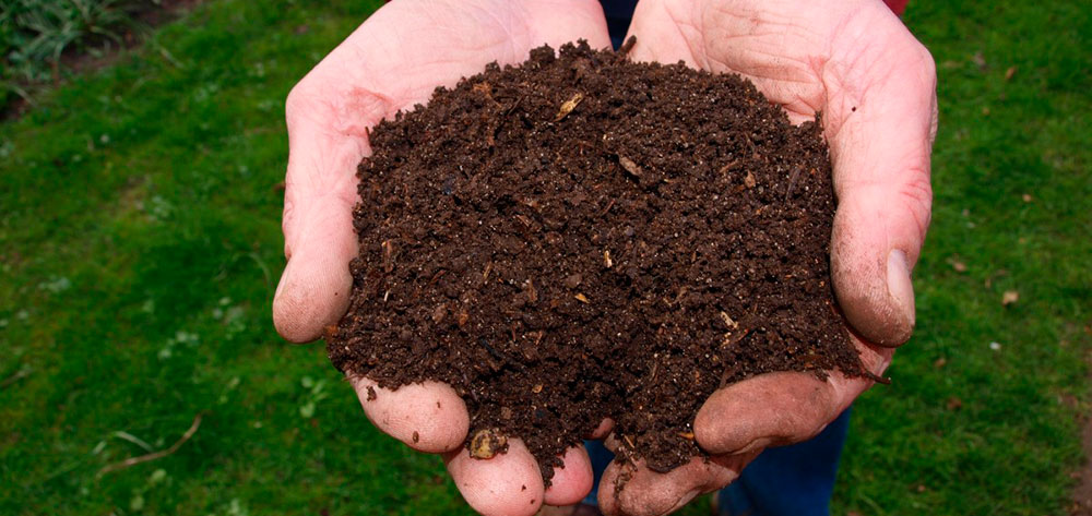 Compost orgánico para huerto urbano