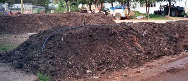 Compost en el huerto urbano