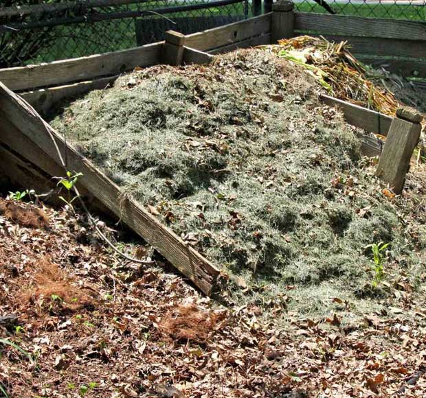 Compost en el huerto urbano