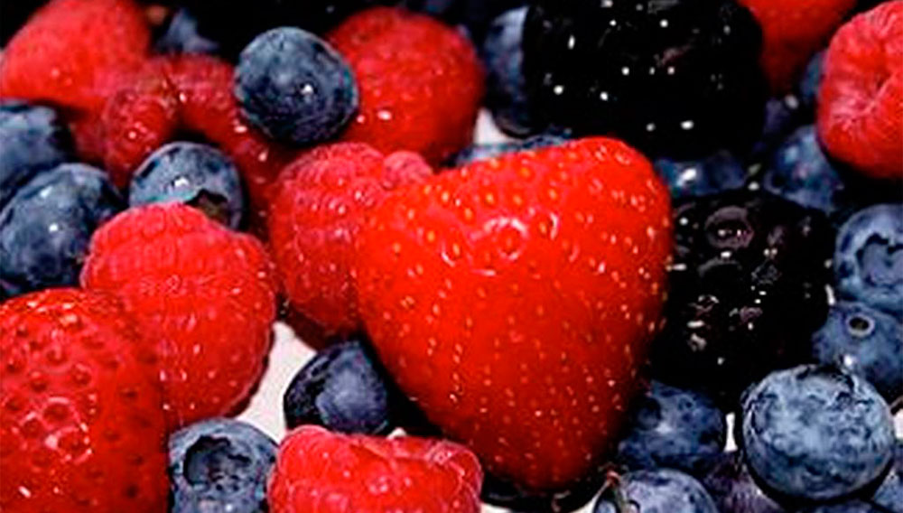 Congreso internacional de frutos rojos