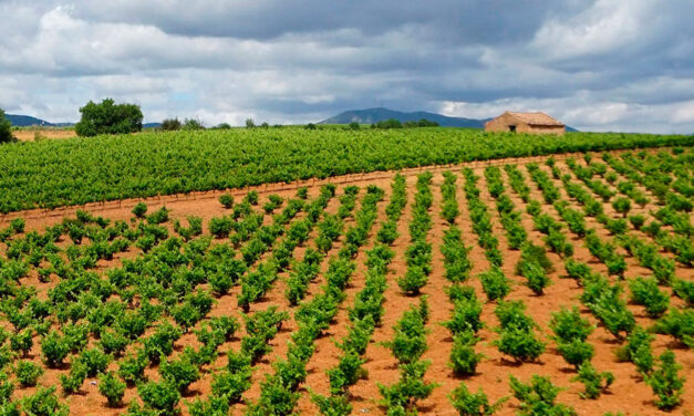 Recogida de envases agrarios en La Rioja