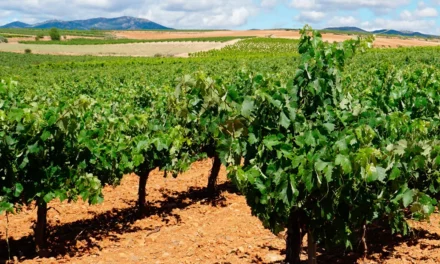 Avances del Proyecto SEAWINES con bioestimulantes