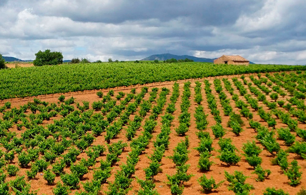 Recogida de envases agrarios en La Rioja