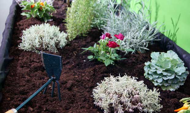 Nuevas mesas de cultivo para el huerto urbano