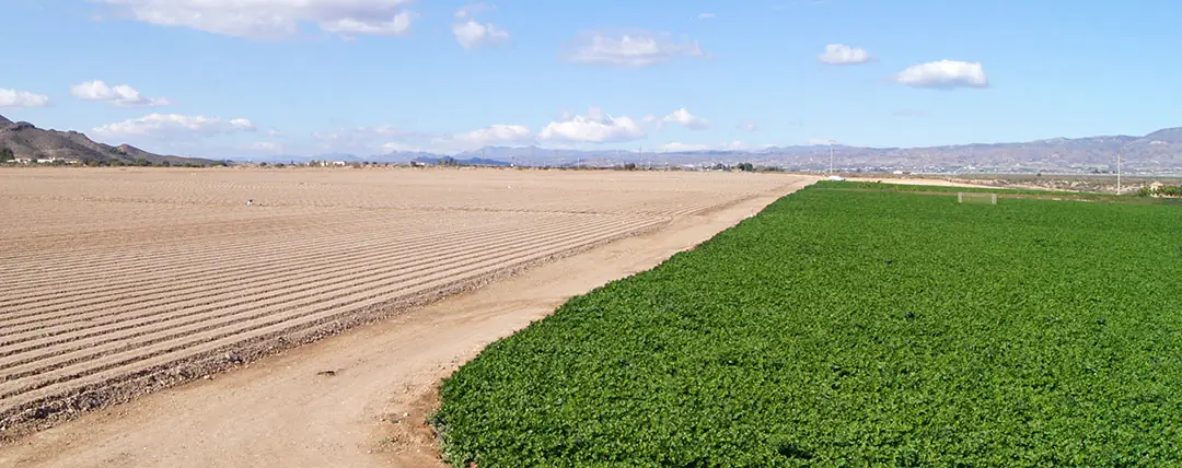 Cultivos en terrenos con escasez de agua de riego