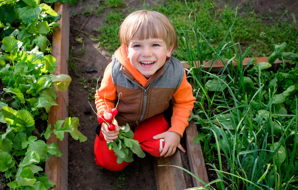 Día Mundial de la Educación Ambiental