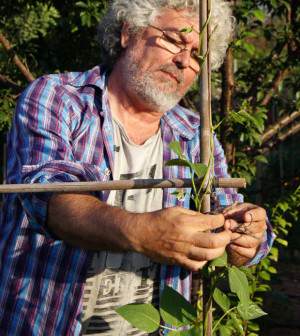 El huerto urbano de Garri