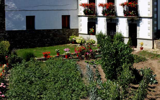 Huerto urbano en el jardín