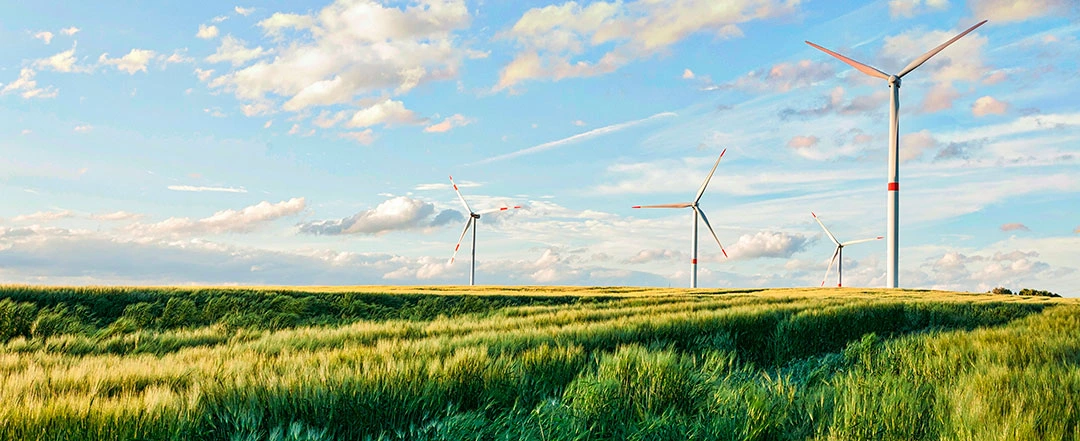 Energías verdes y el campo agrícola
