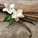 La vainilla como especia