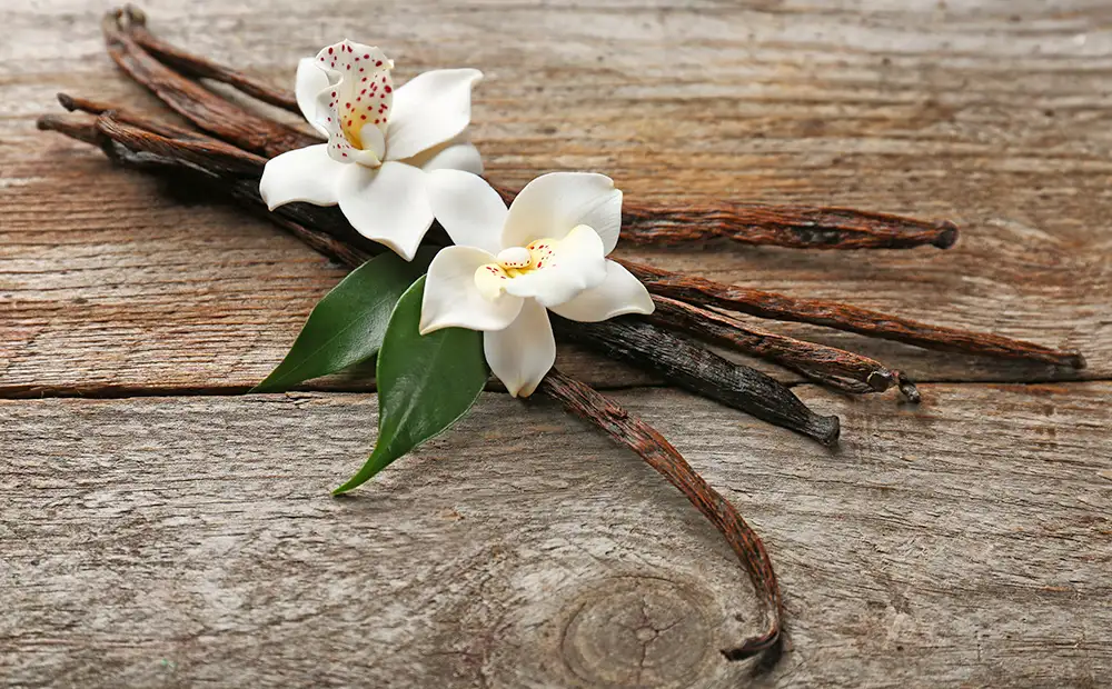 La vainilla como especia