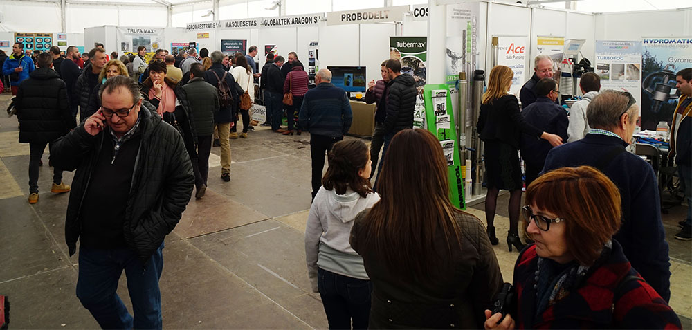 FITRUF: Feria monográfica de la trufa en Sarrión