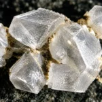 La estruvita y su uso como fertilizante agrícola