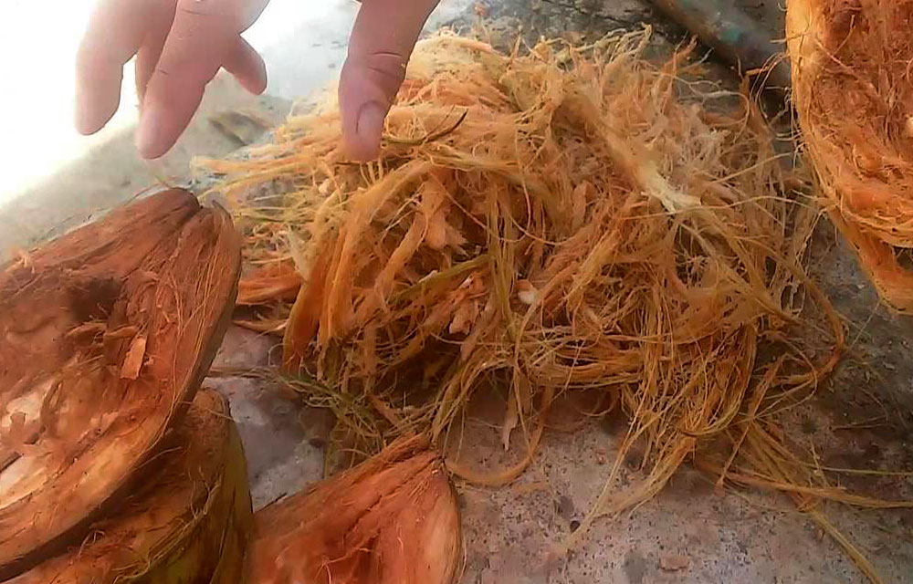 Fibra de coco utilizada en la construcción - VeoVerde