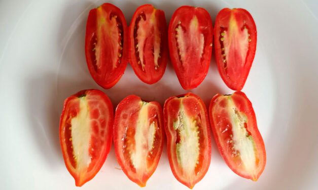 Fisiopatías del tomate