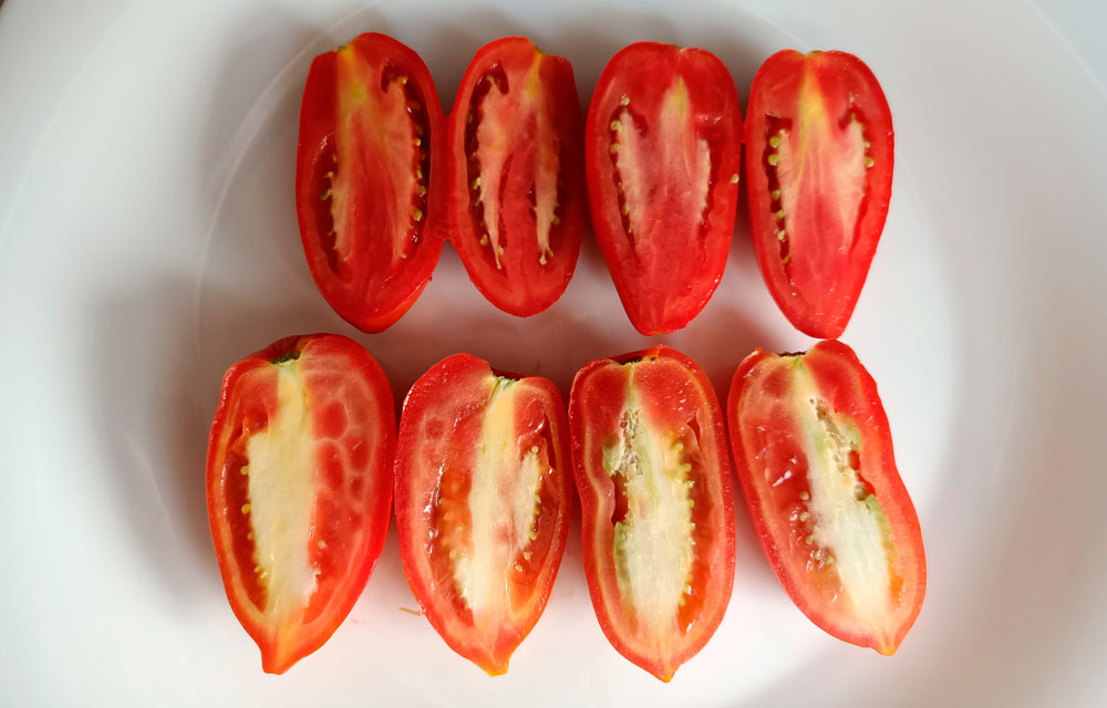 Fisiopatías del tomate