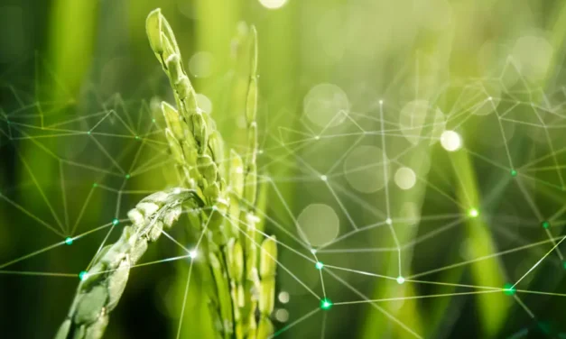 Expo AgriTech 2024