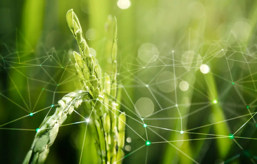 Expo AgriTech 2024
