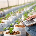 Expo AgriTech 2025