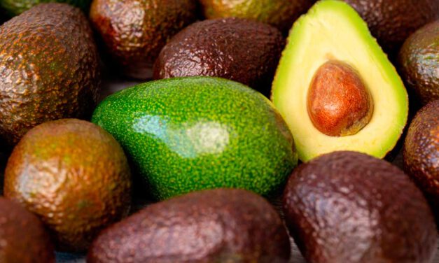 El aguacate, cómo consumirlo y propiedades