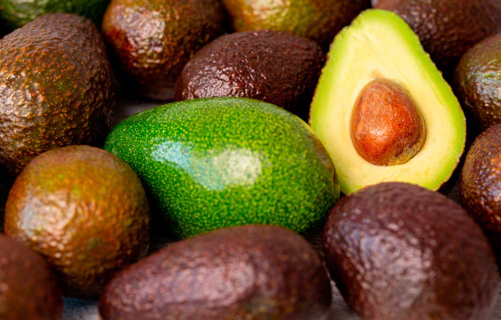 El aguacate, cómo consumirlo y propiedades